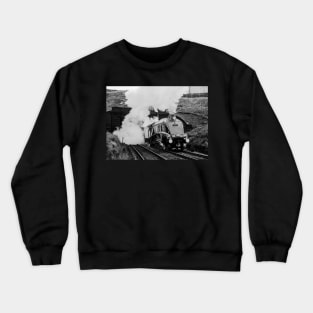 "Bittern" Crewneck Sweatshirt